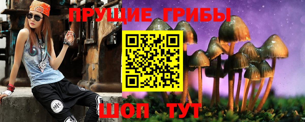 Псилоцибиновые грибы ЛСД  что такое   Энгельс  Вход с VPN 