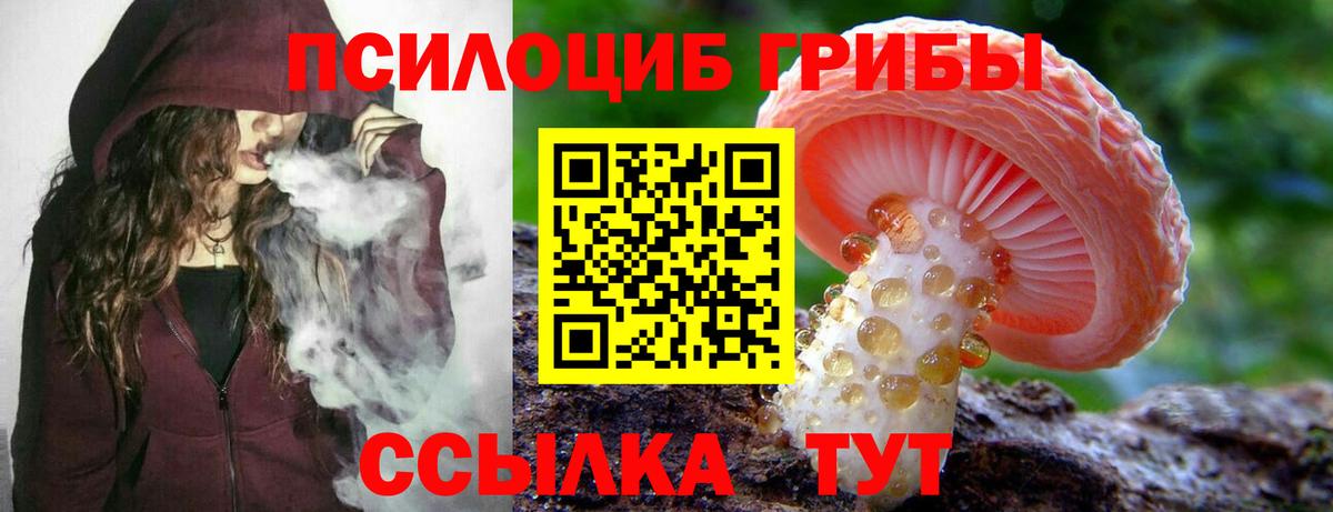 Псилоцибиновые грибы MAGIC MUSHROOMS Энгельс